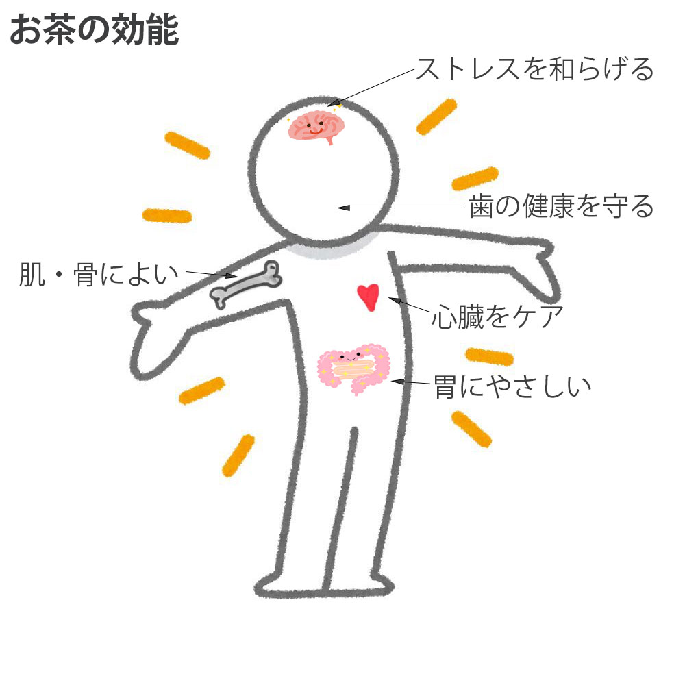 お茶の効能について