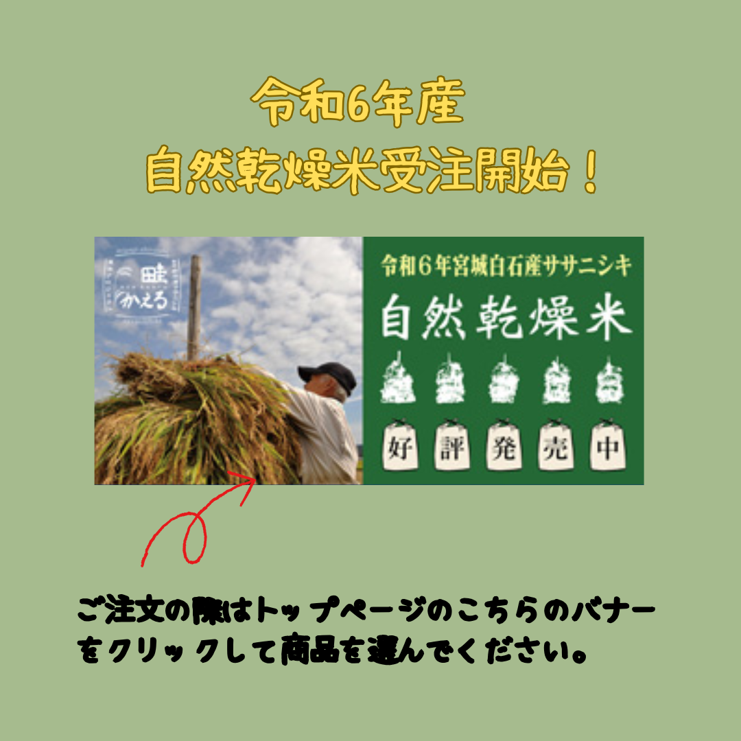 自然乾燥米受注開始いたしました！