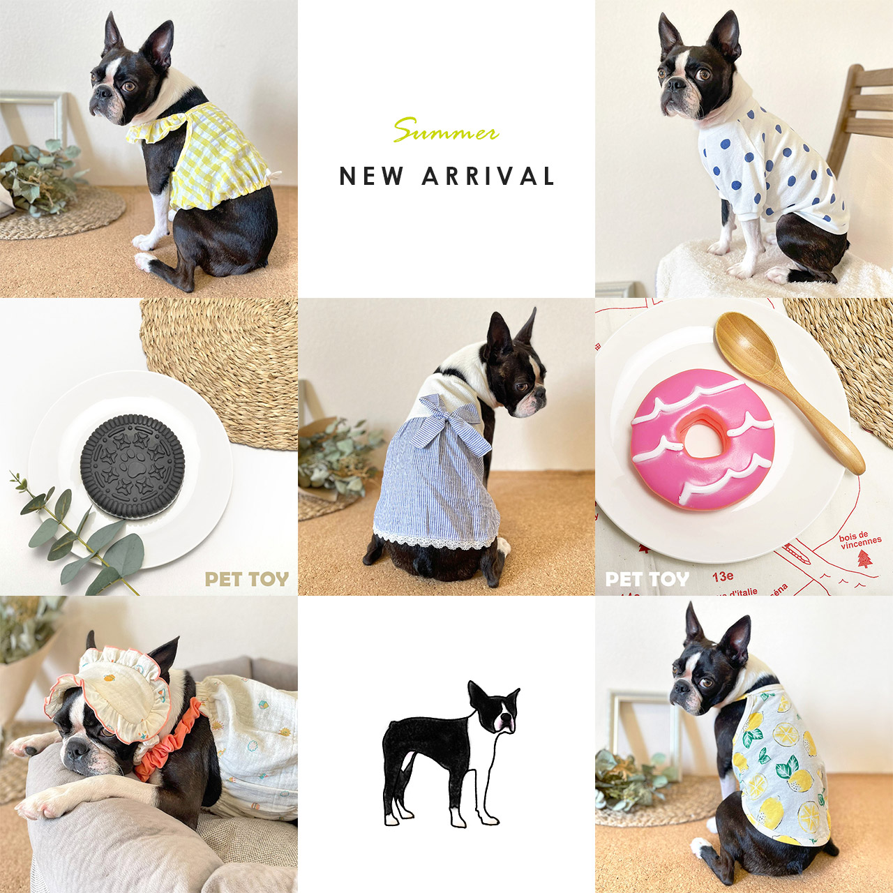 7日21時～START★プレ予約10％OFF！