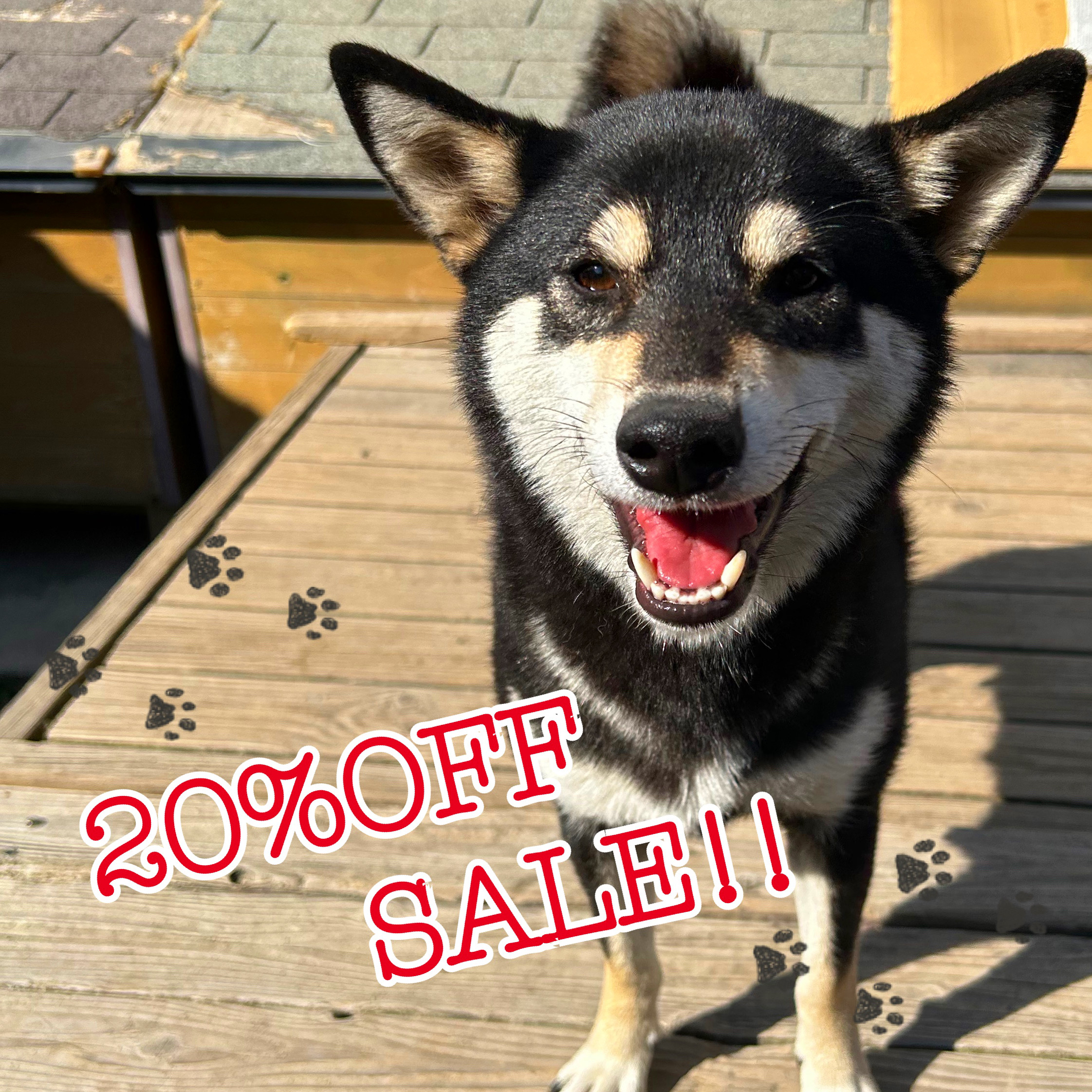 20%OFFセールのお知らせ🌟