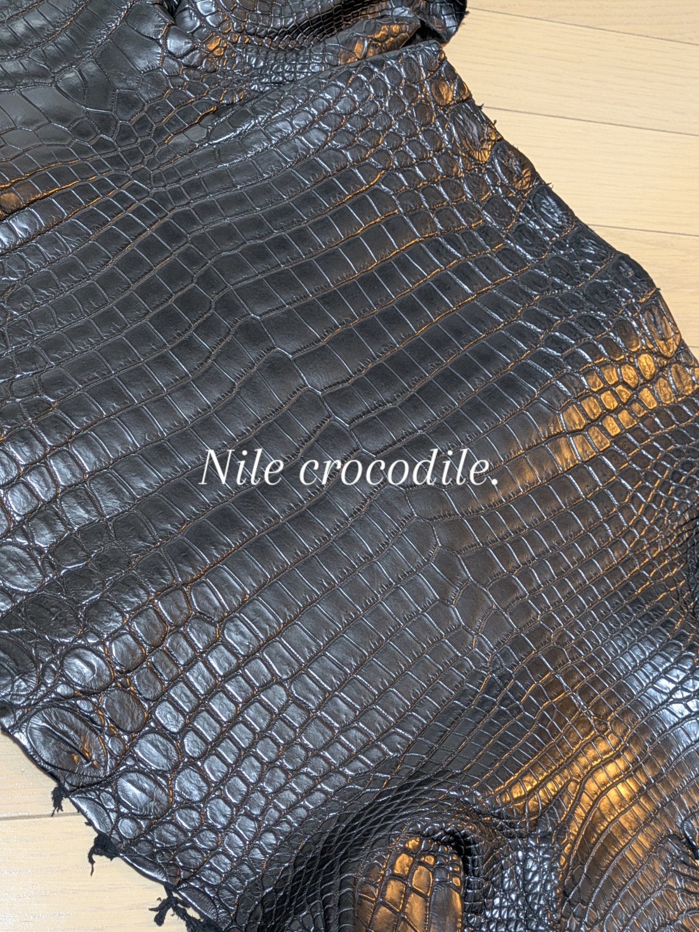 次回のクロコダイルは、、