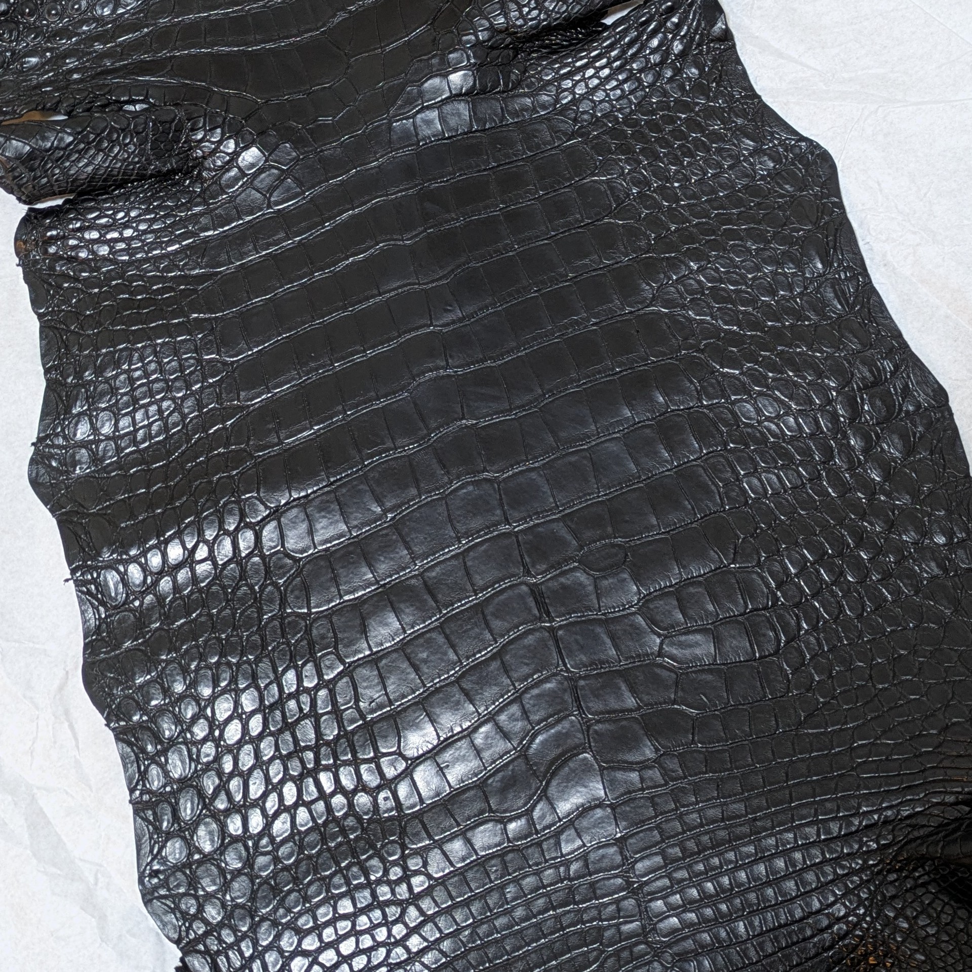 〜Alligater“real black”〜入荷。
