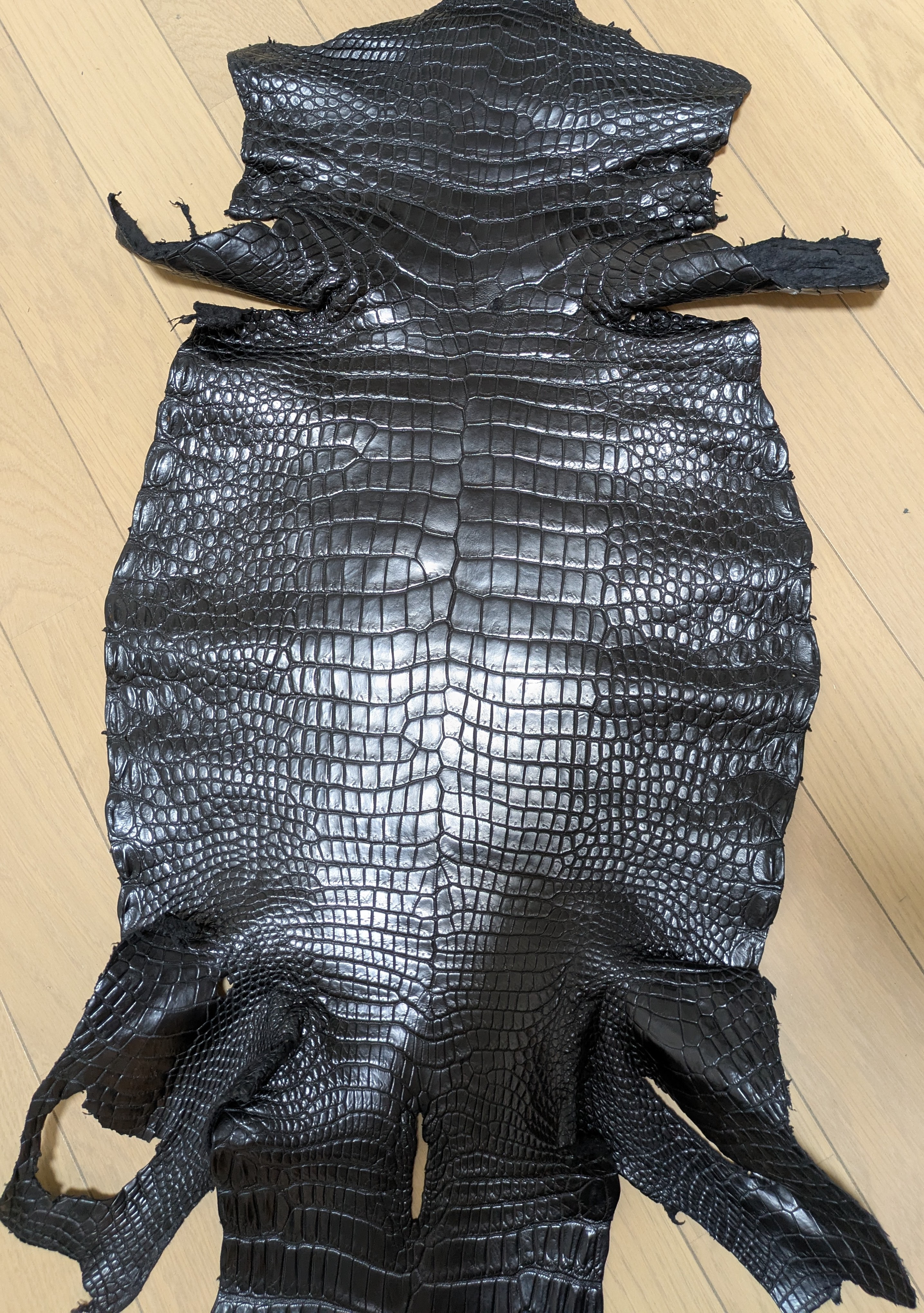 ポロサスクロコダイル。