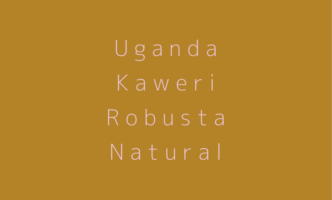 Pick Up ロブスタ!