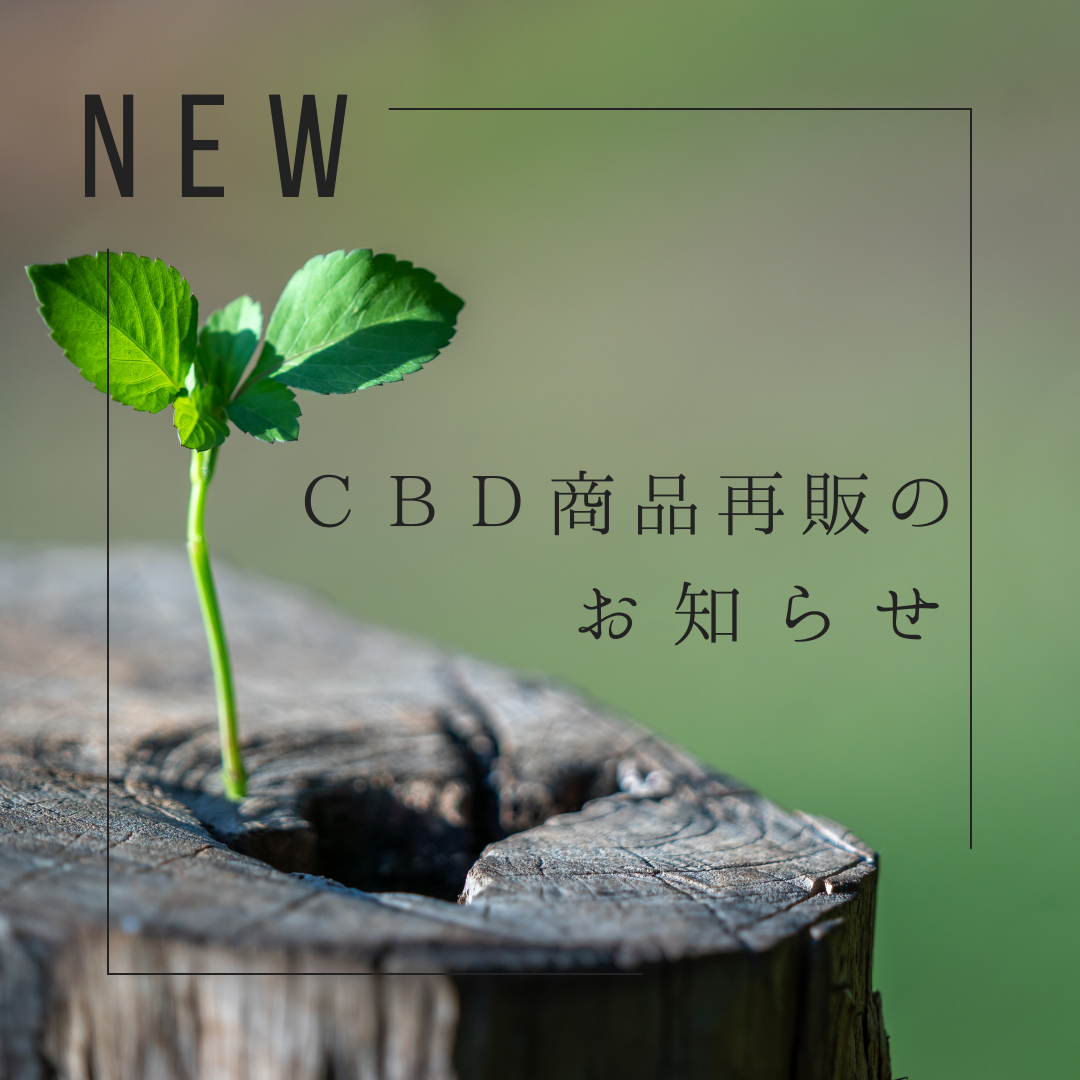 CBD製品 販売再開のお知らせ