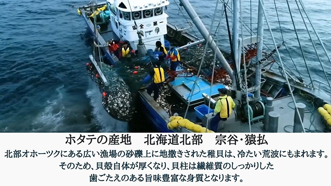 宗谷産猿払産天然育ちホタテ正規品のご案内