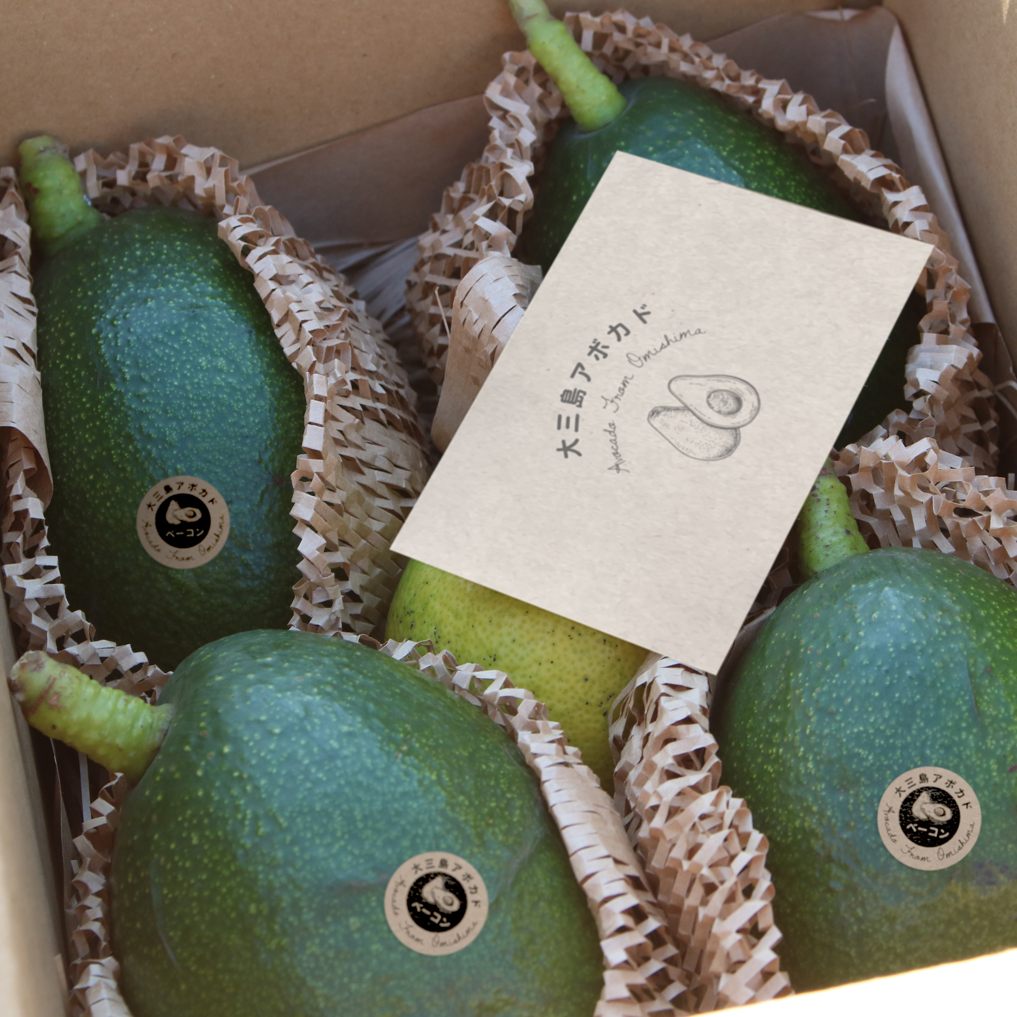 今年のアボカドご予約受付中です