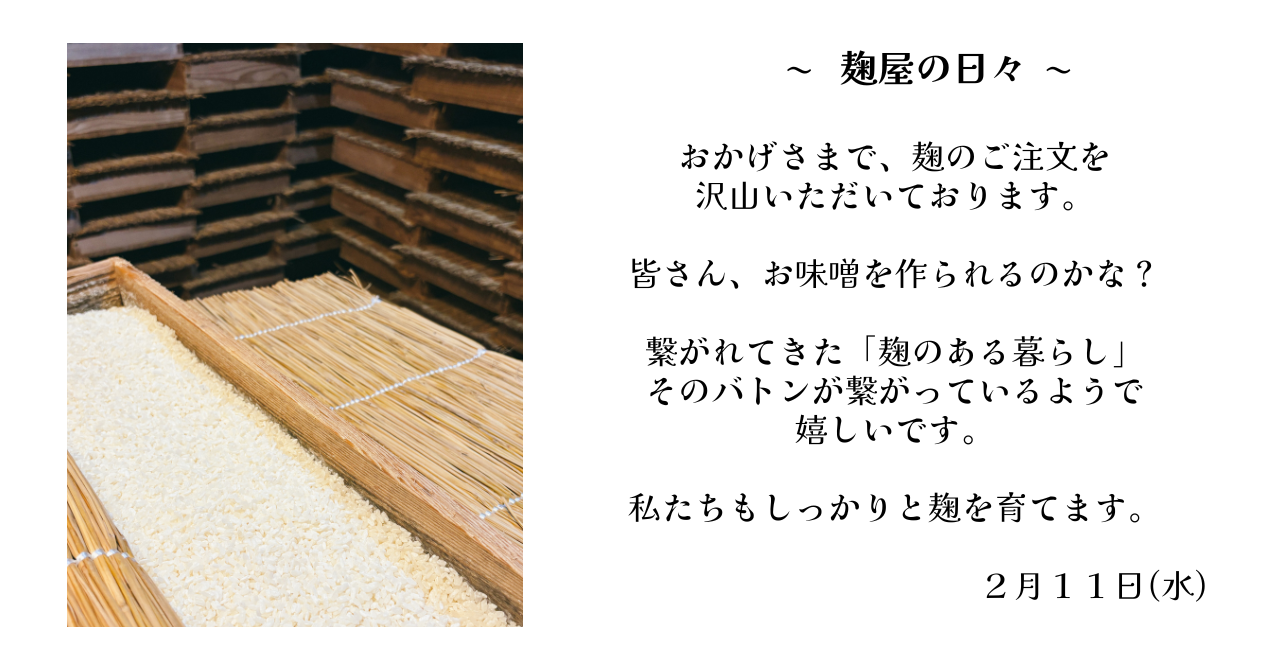 麹屋の日々　2026年2月11日(水)