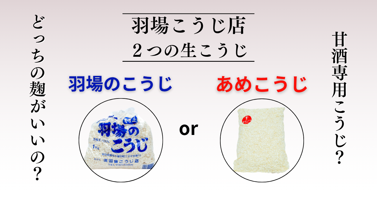 \ どっちの麹がいいの？ /