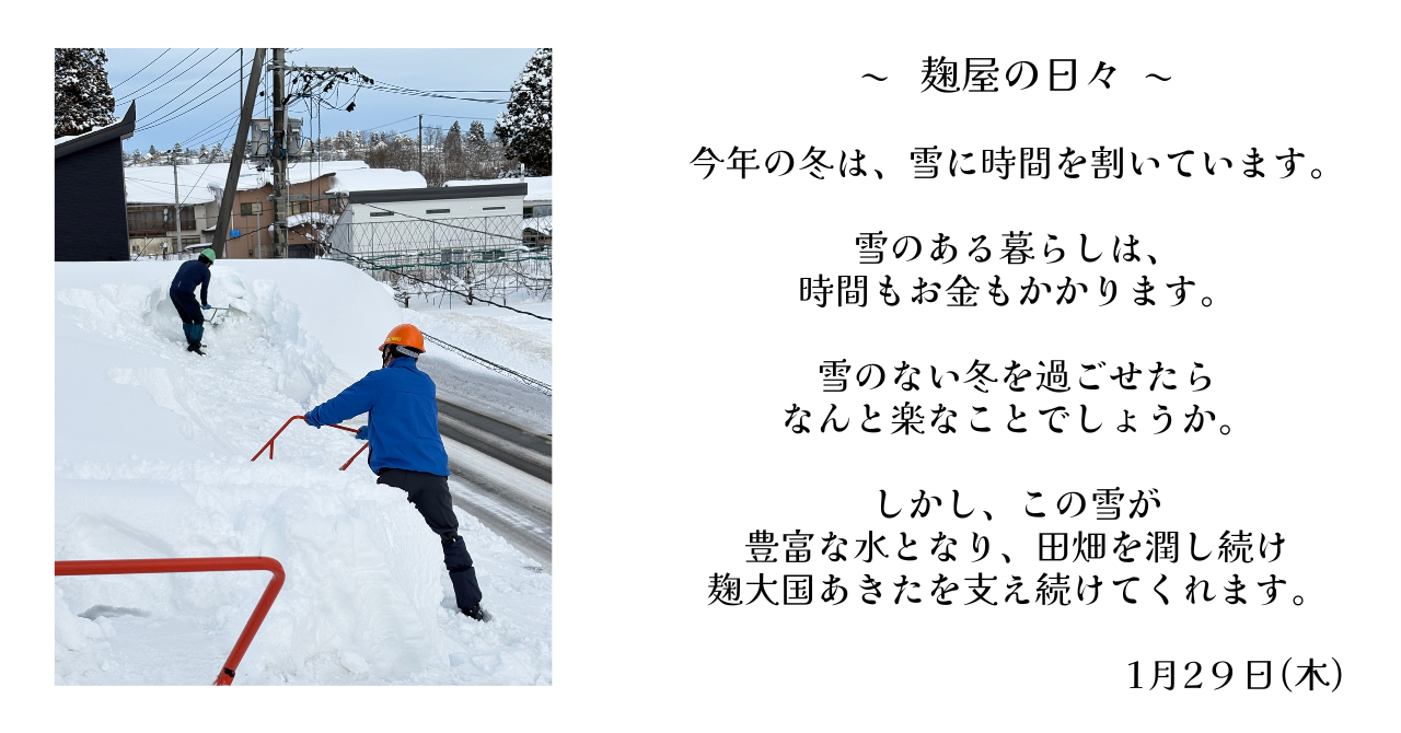 麹屋の日々　2026年1月29日(木)