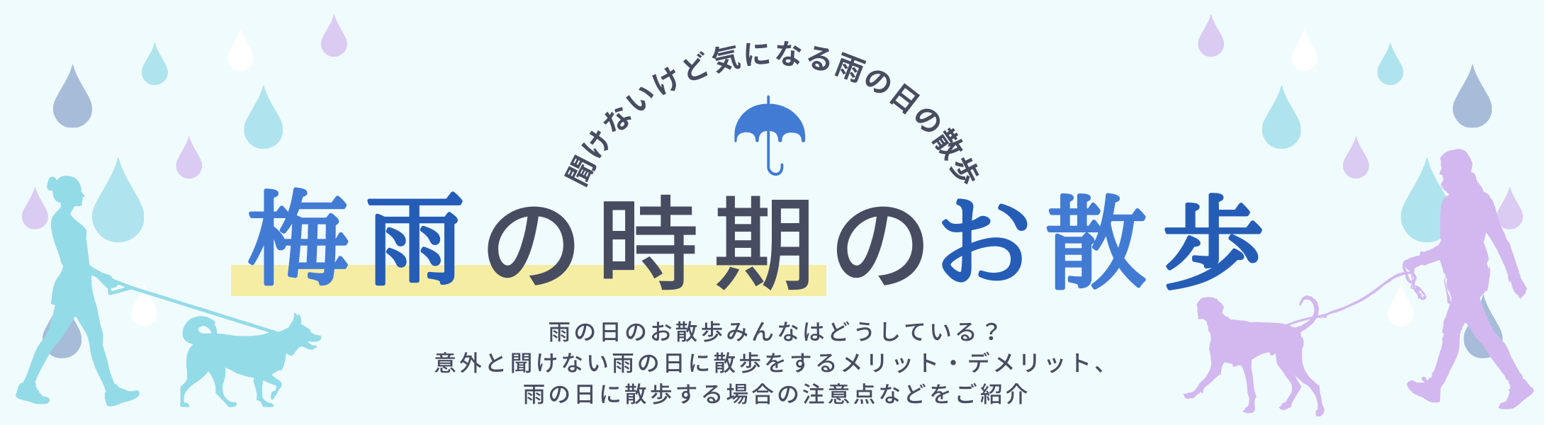 梅雨の時期のお散歩どうしてる？