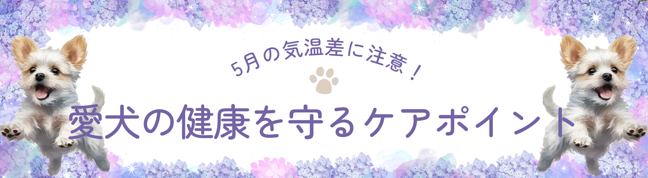 5月の気温差に注意！愛犬の健康を守るケアポイント