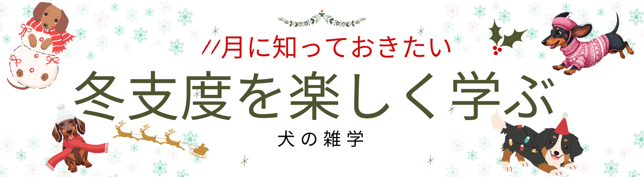 11月に知っておきたい、冬支度を楽しく学ぶ犬の雑学