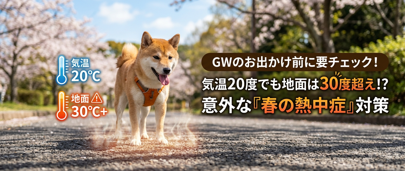 GWのお出かけ前に要チェック！気温20度でも地面は30度超え！？意外な『春の熱中症』対策