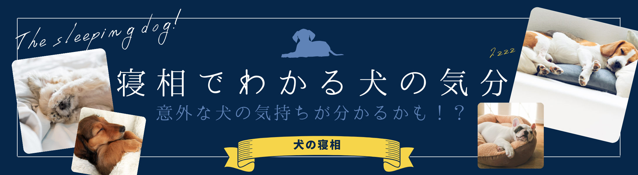 寝相でわかる犬の気分