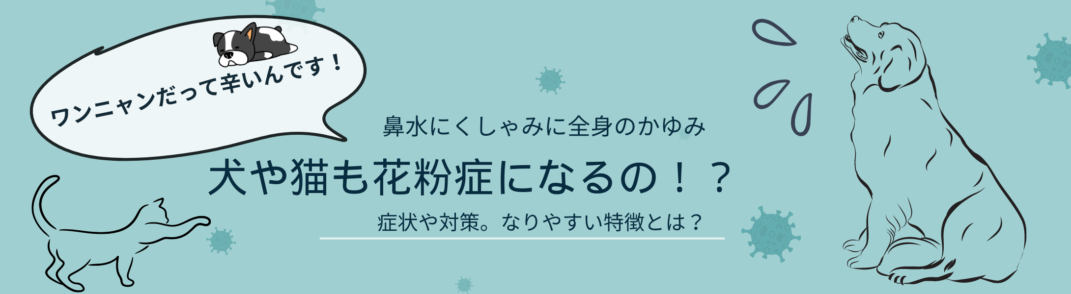 犬や猫も花粉症になるの！？