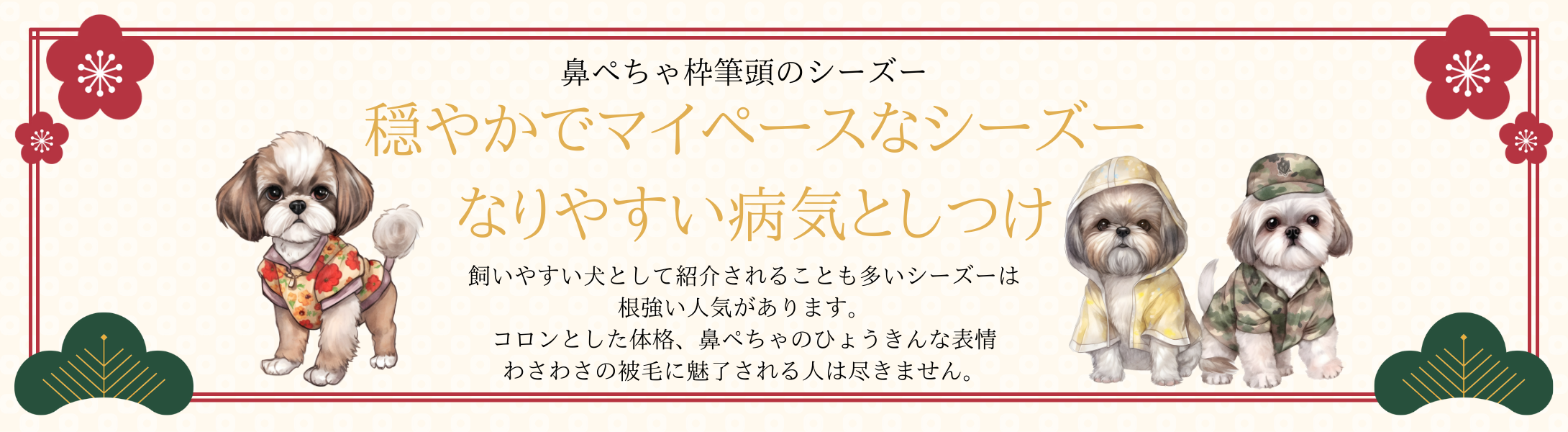 シーズーのなりやすい病気としつけ