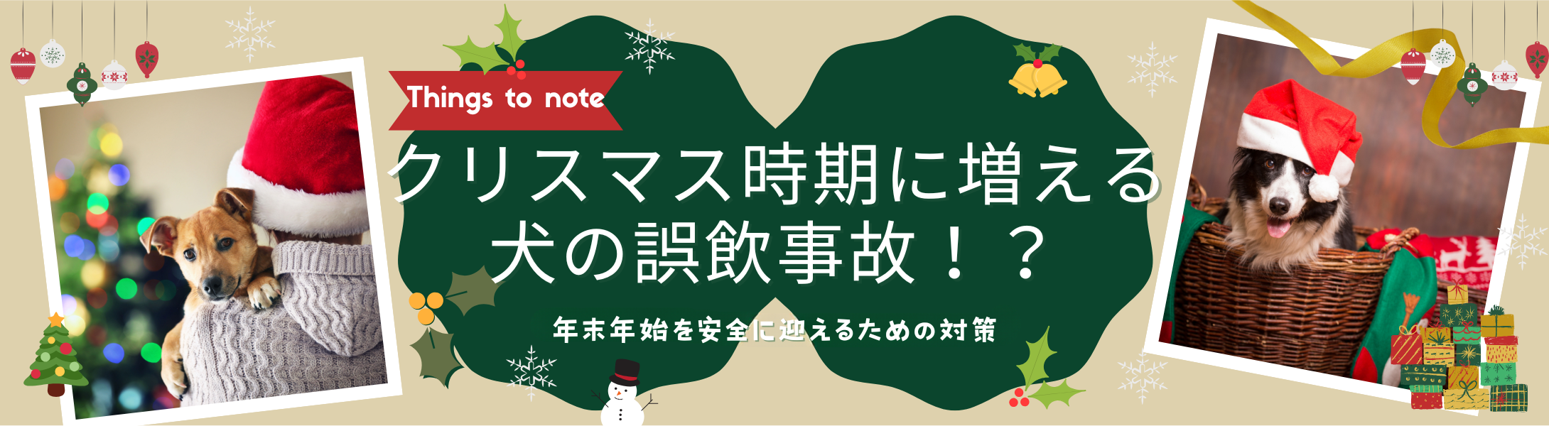 クリスマス時期に増える犬の誤飲事故！？
