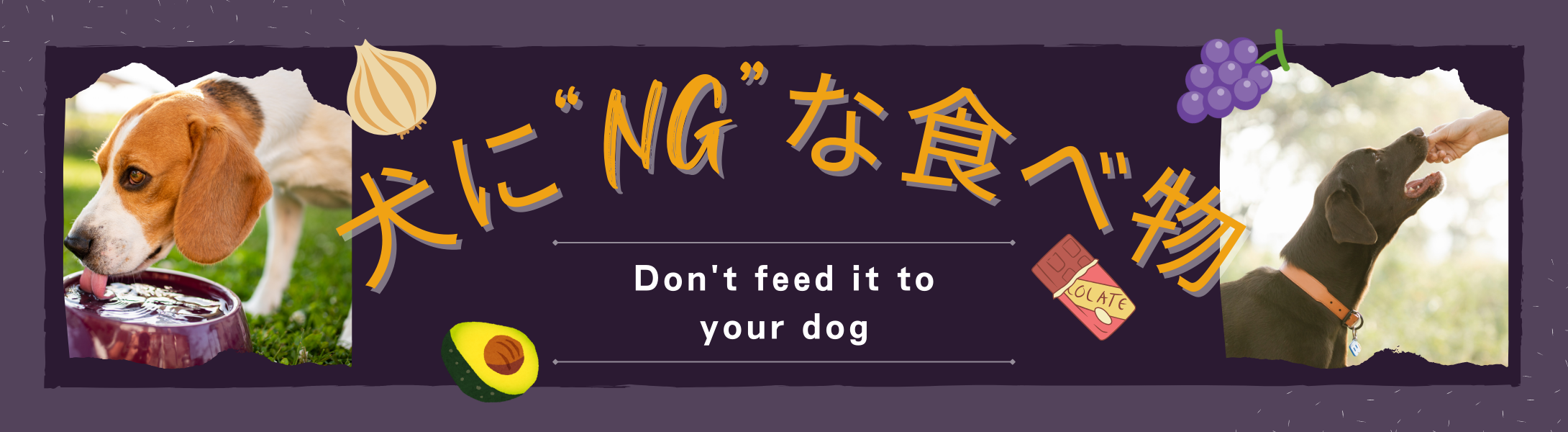 犬に食べさせてはいけない食べ物