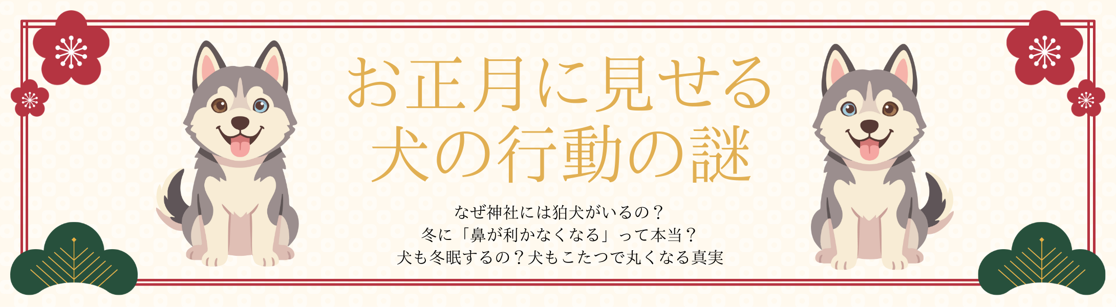 なぜ神社には狛犬がいるの？冬に「鼻が利かなくなる」って本当？こたつを愛する犬の真実