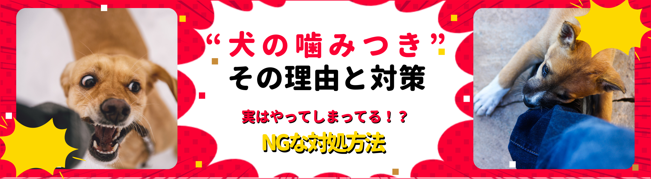 犬の噛みつきの理由と効果的な対策