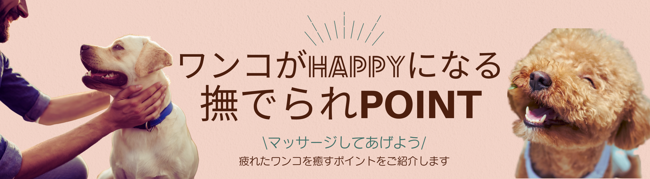 犬が嬉しいなでられポイント