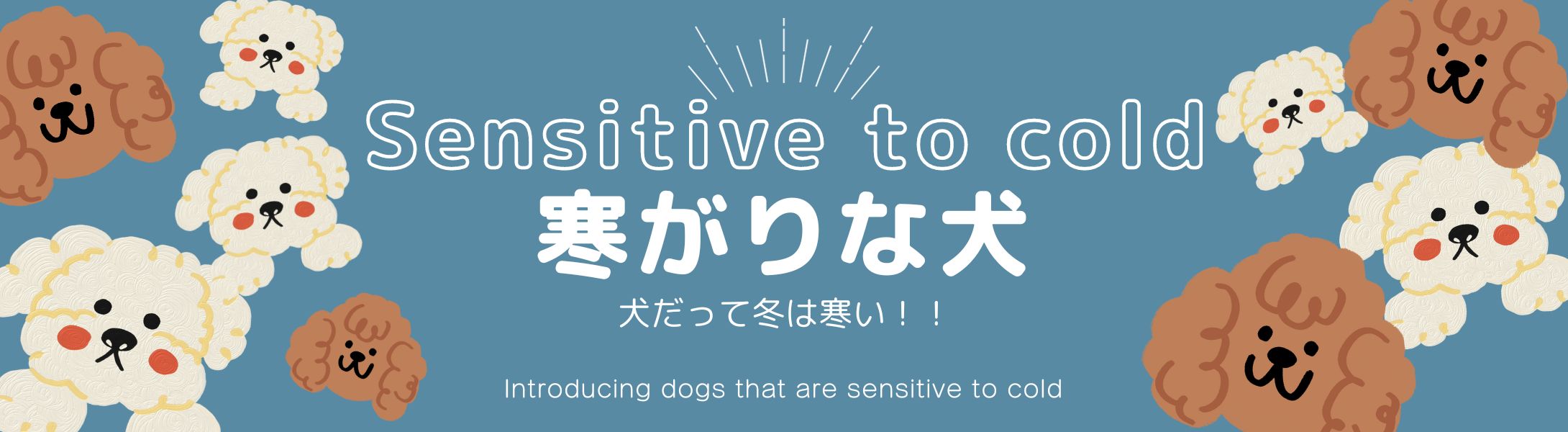 寒がりワンコのサインと対策
