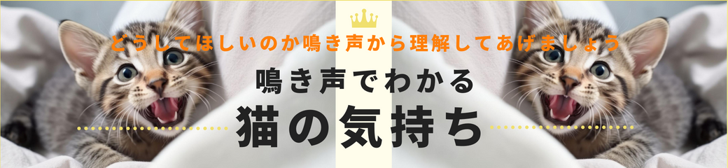 鳴き声でわかる猫の気持ち