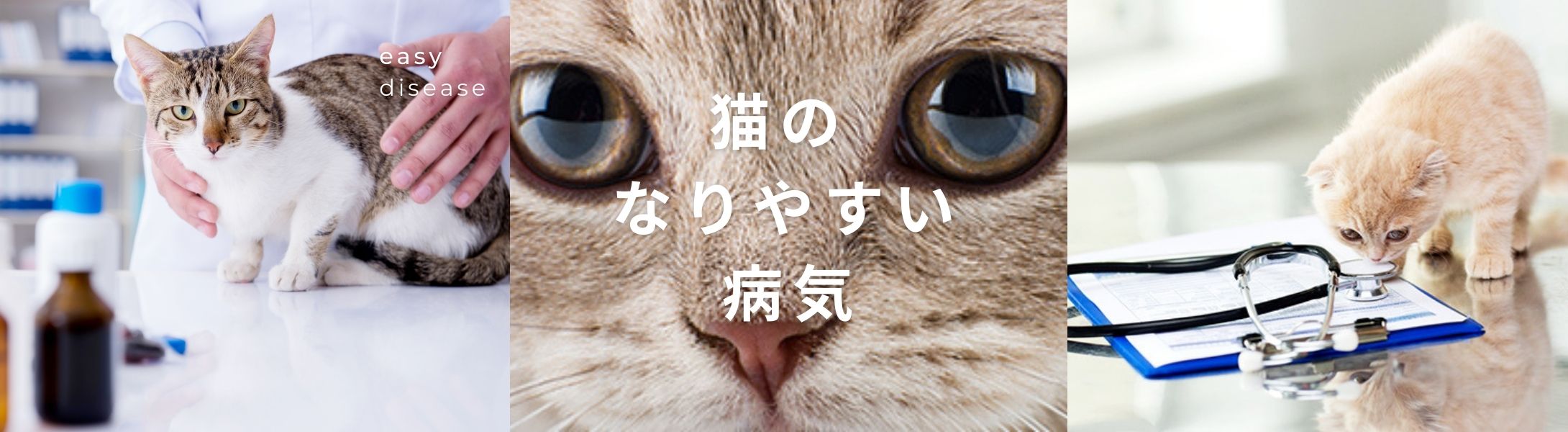 猫のなりやすい病気