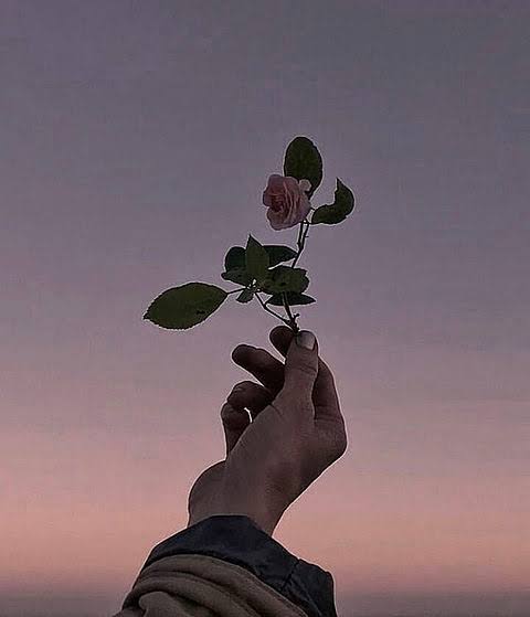 【送料見直し】について