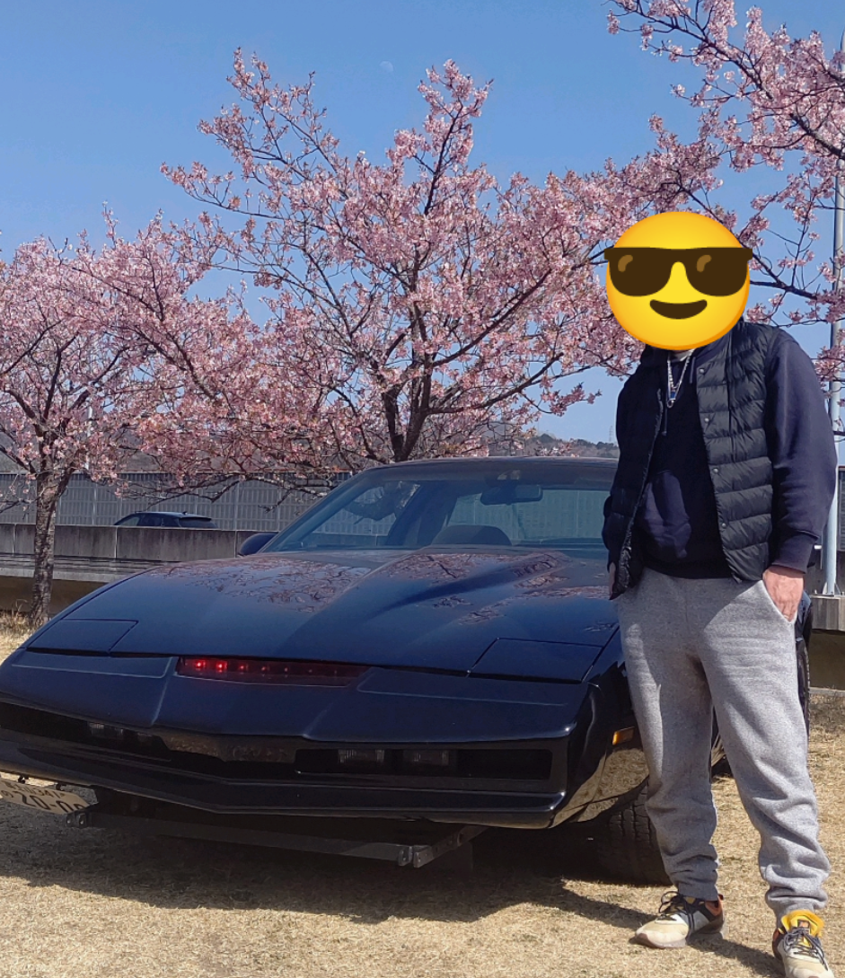 ナイトライダー