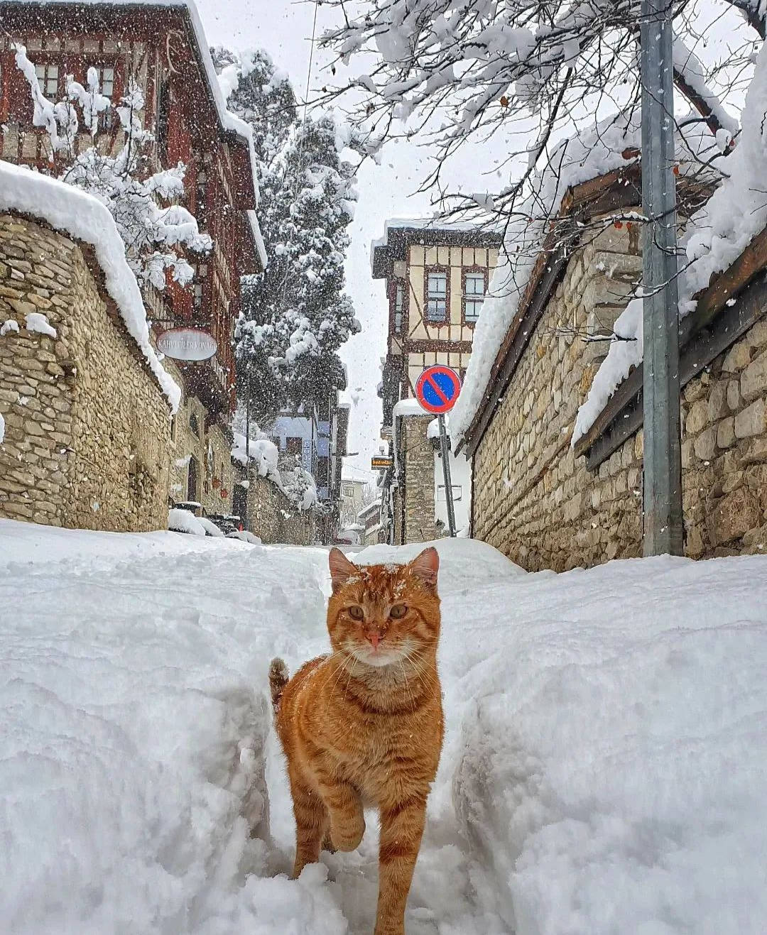 雪