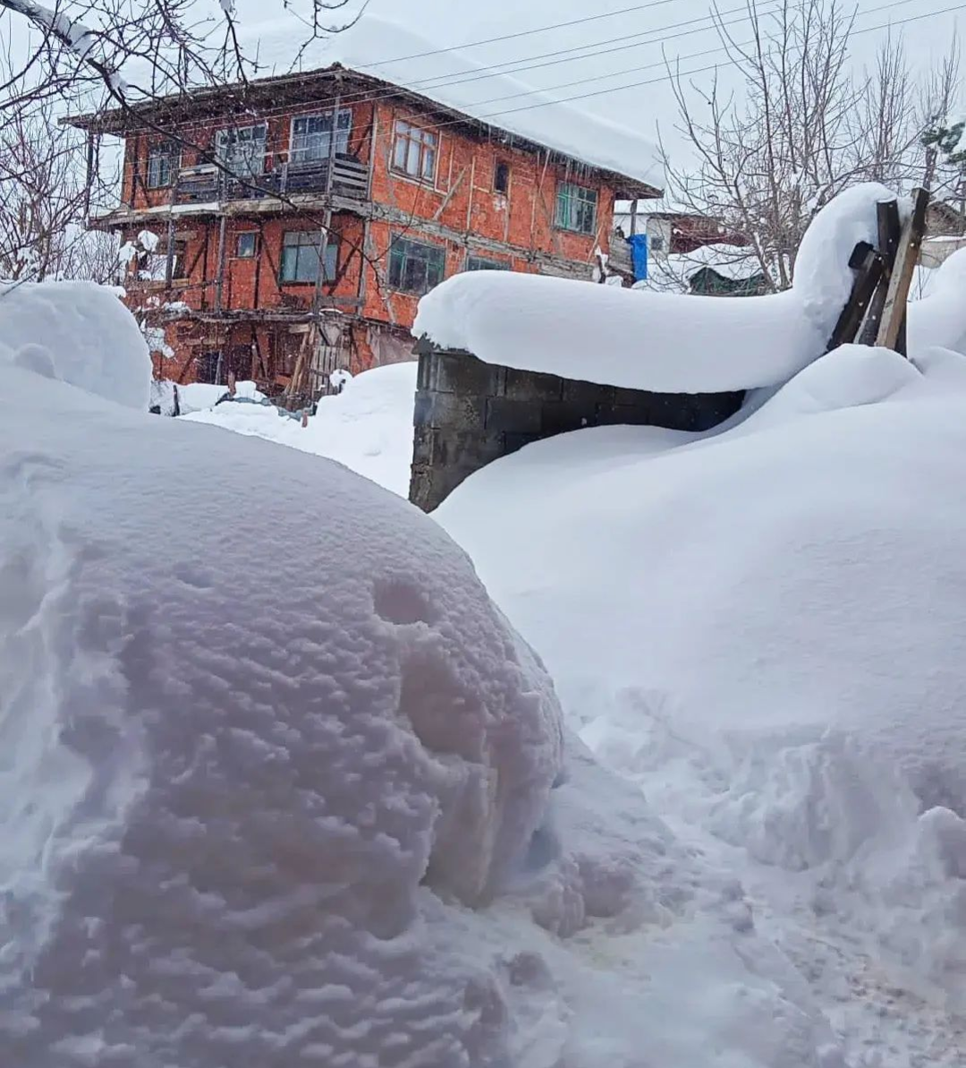 大雪