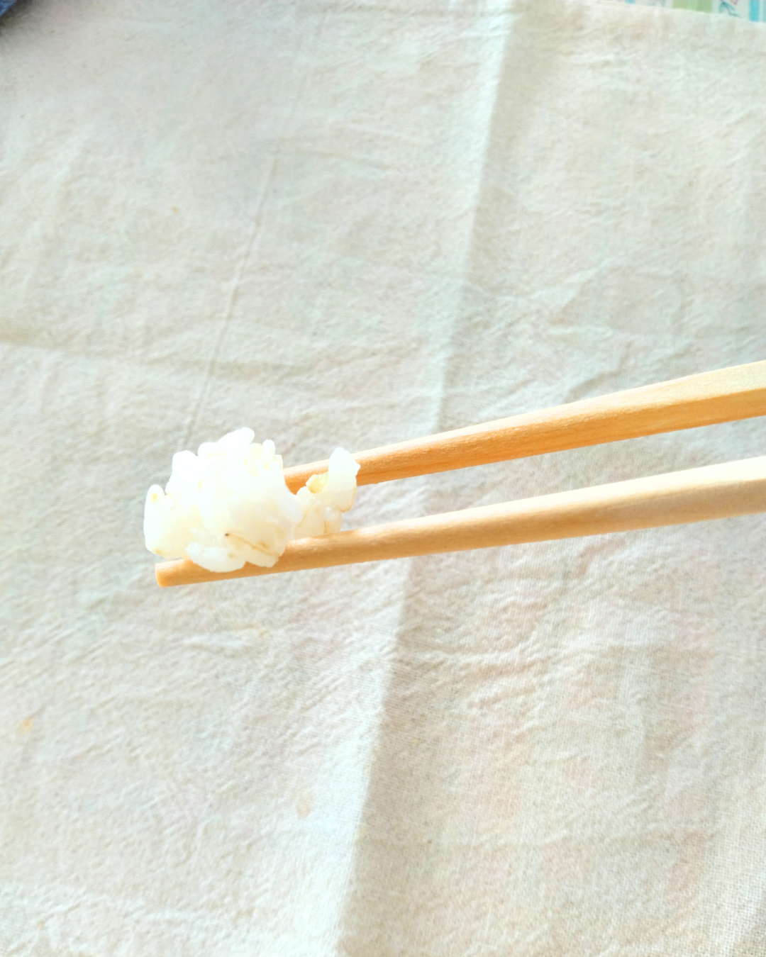 【連載：食卓から整う①】お口に触れるものだから。「無塗装」が教えてくれる本当の味