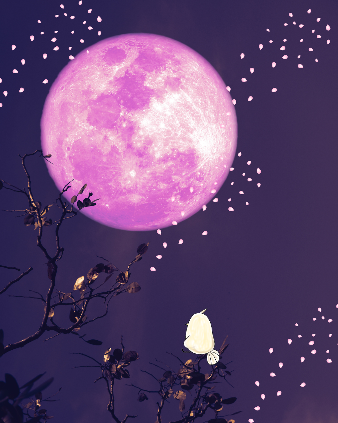 『満月新月編』🌕【4/2満月】あなたの心は「パンパン」じゃない？ピンクムーンで心のデトックス！