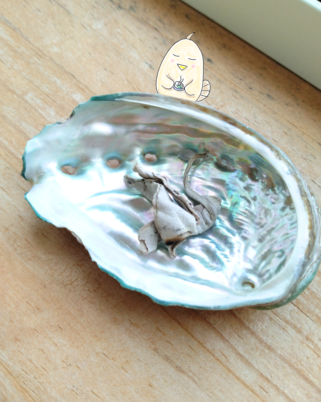 🐚海の底のニート？それとも聖者？「アバロンシェル」という名の魔法の皿♡