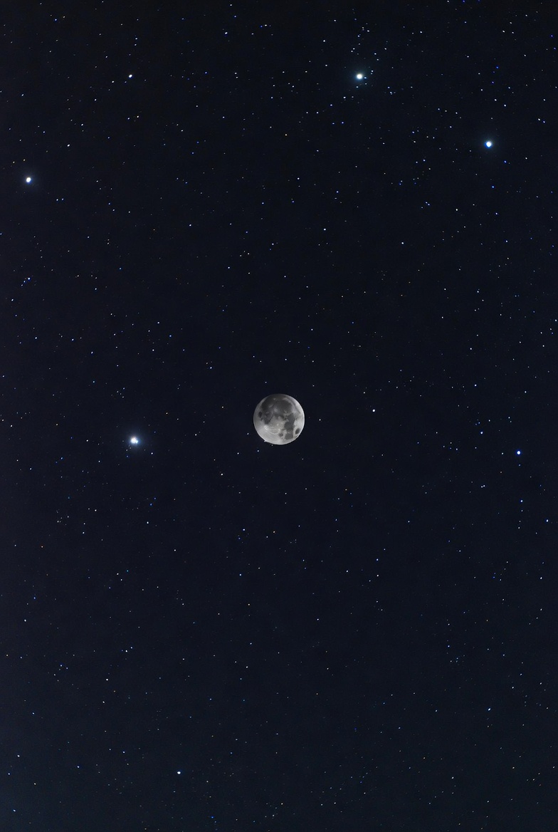 1月19日は新月🌒月のパワーで2026年最高のスタート！