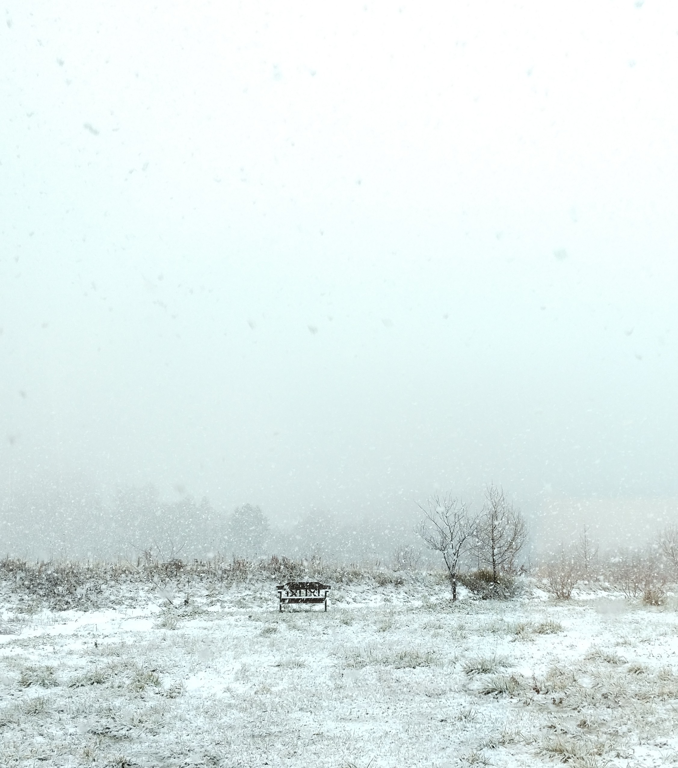 2025年ありがとうございました！