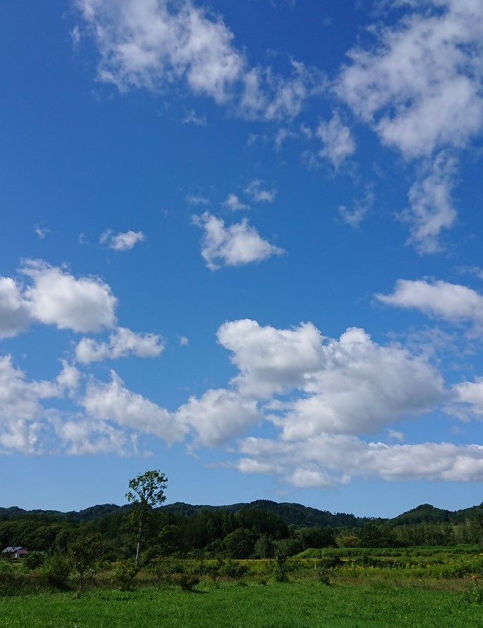 メランコリックになりがちな秋に備えるセルフケア🍁　VOL1