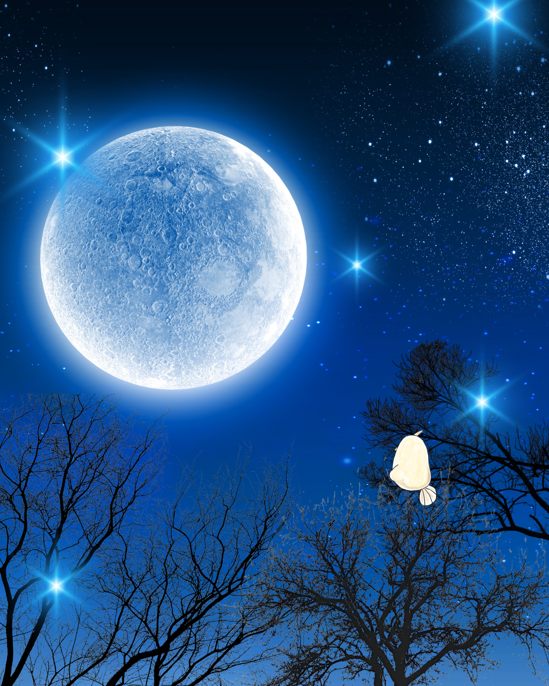 【満月新月編】🌕蠍座満月・フラワームーンに自分を「開花」させる、極上の浄化リチュアル