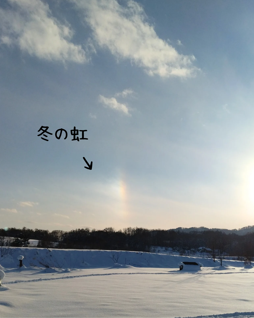 風邪対策！ひどくなる前にケアしましょ♪