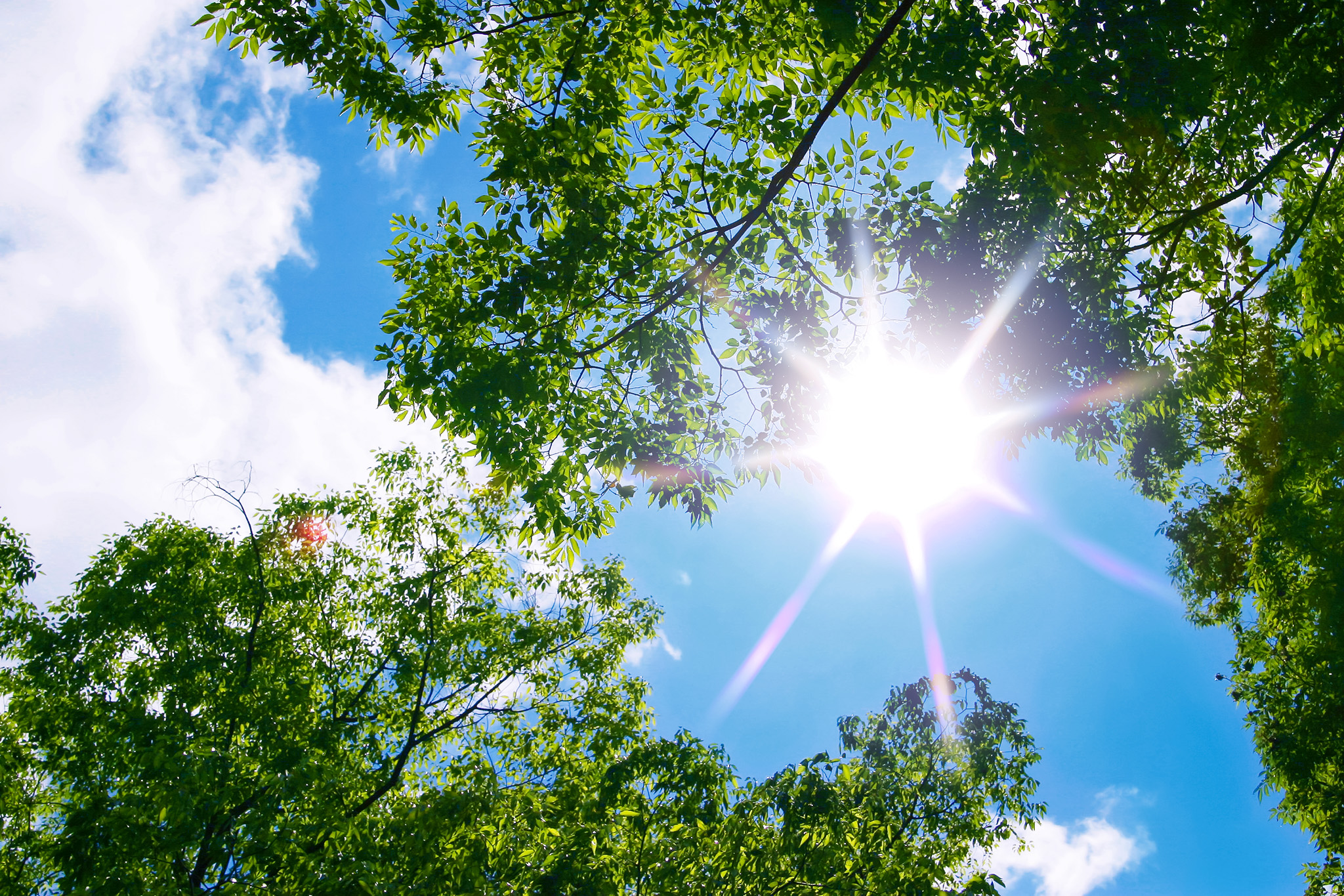 「夏バテ」にならないための体づくり!!🌞