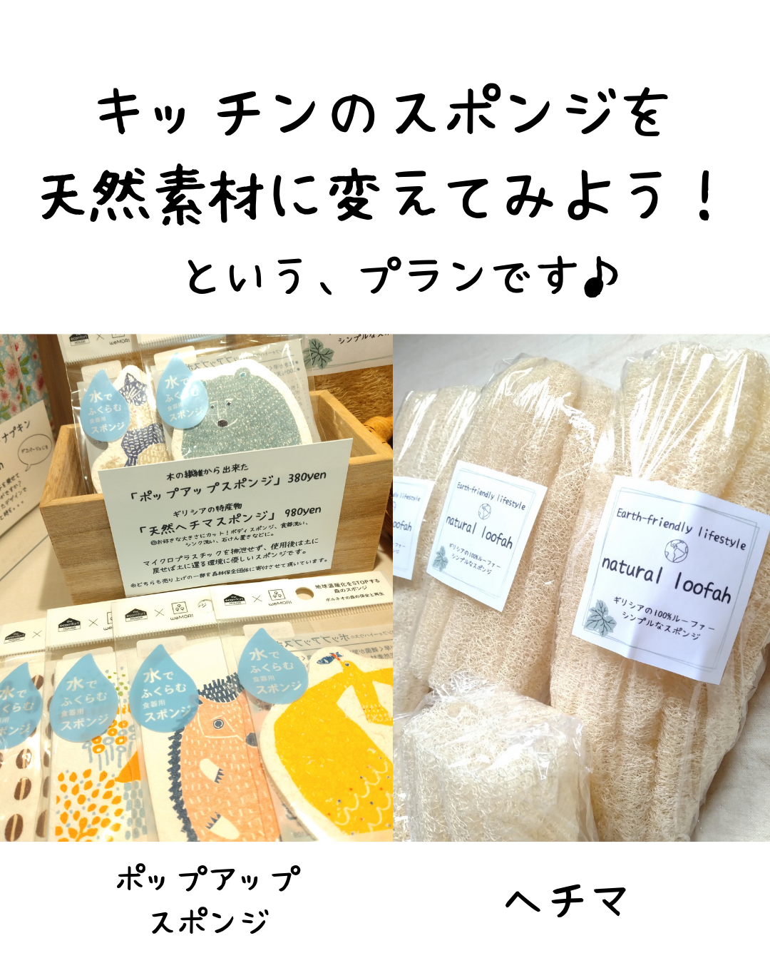 スポチェンしよう！「地球に優しい暮らし」をキッチンから始めるプラン♪