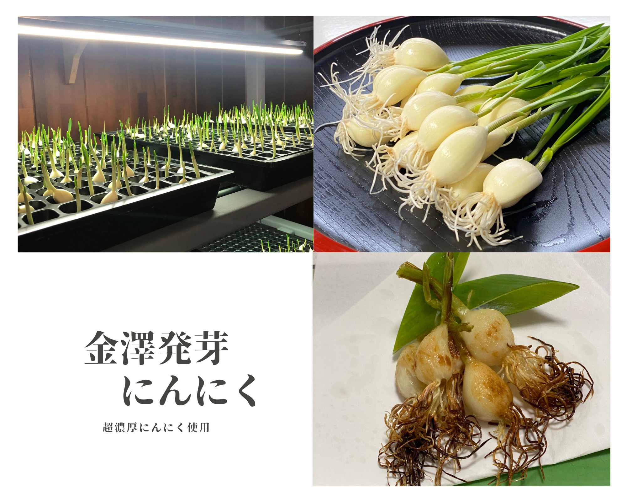 お早めに！