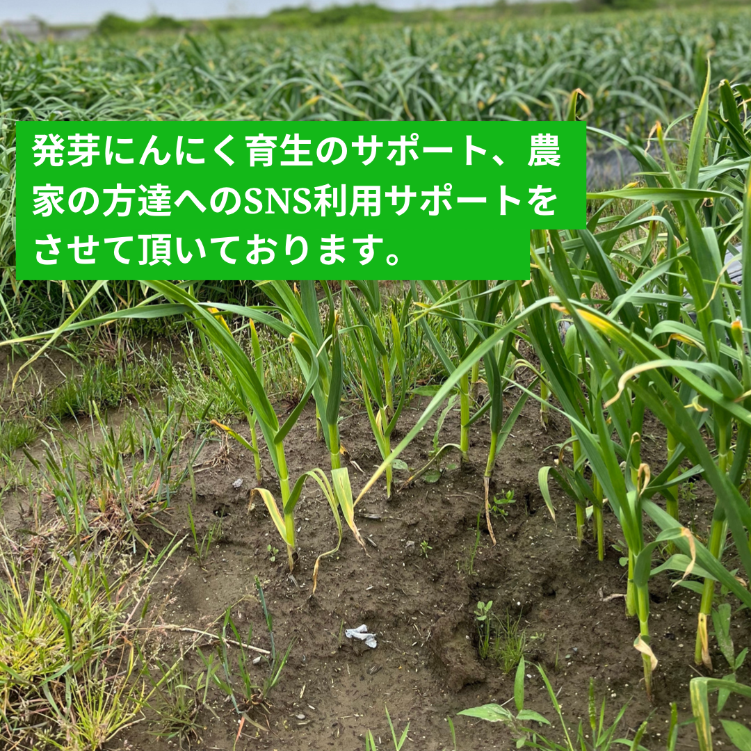 サポートさせて頂きます！
