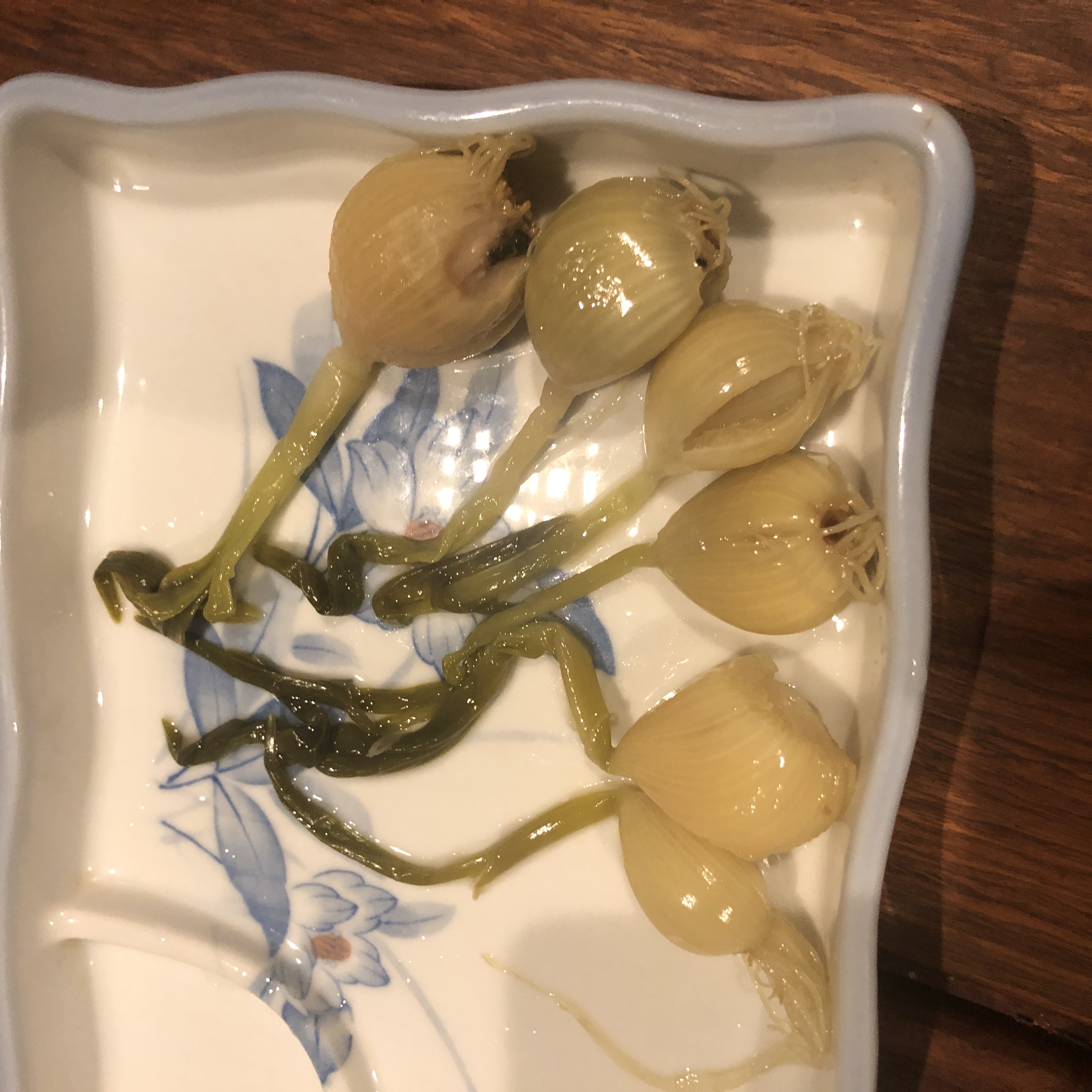 お客様からいただきました！