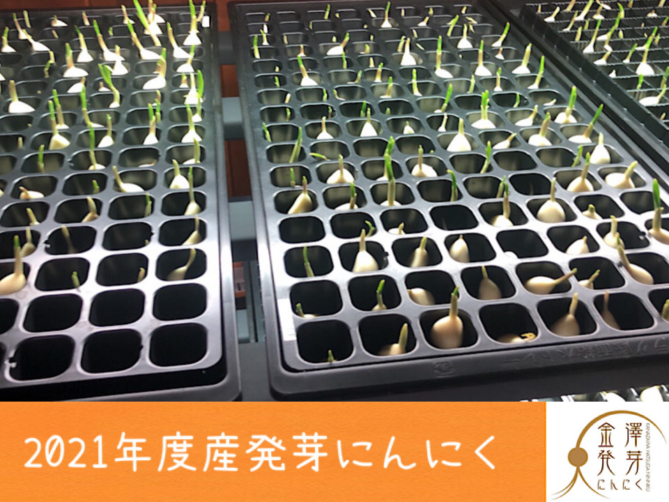 お待たせしました！