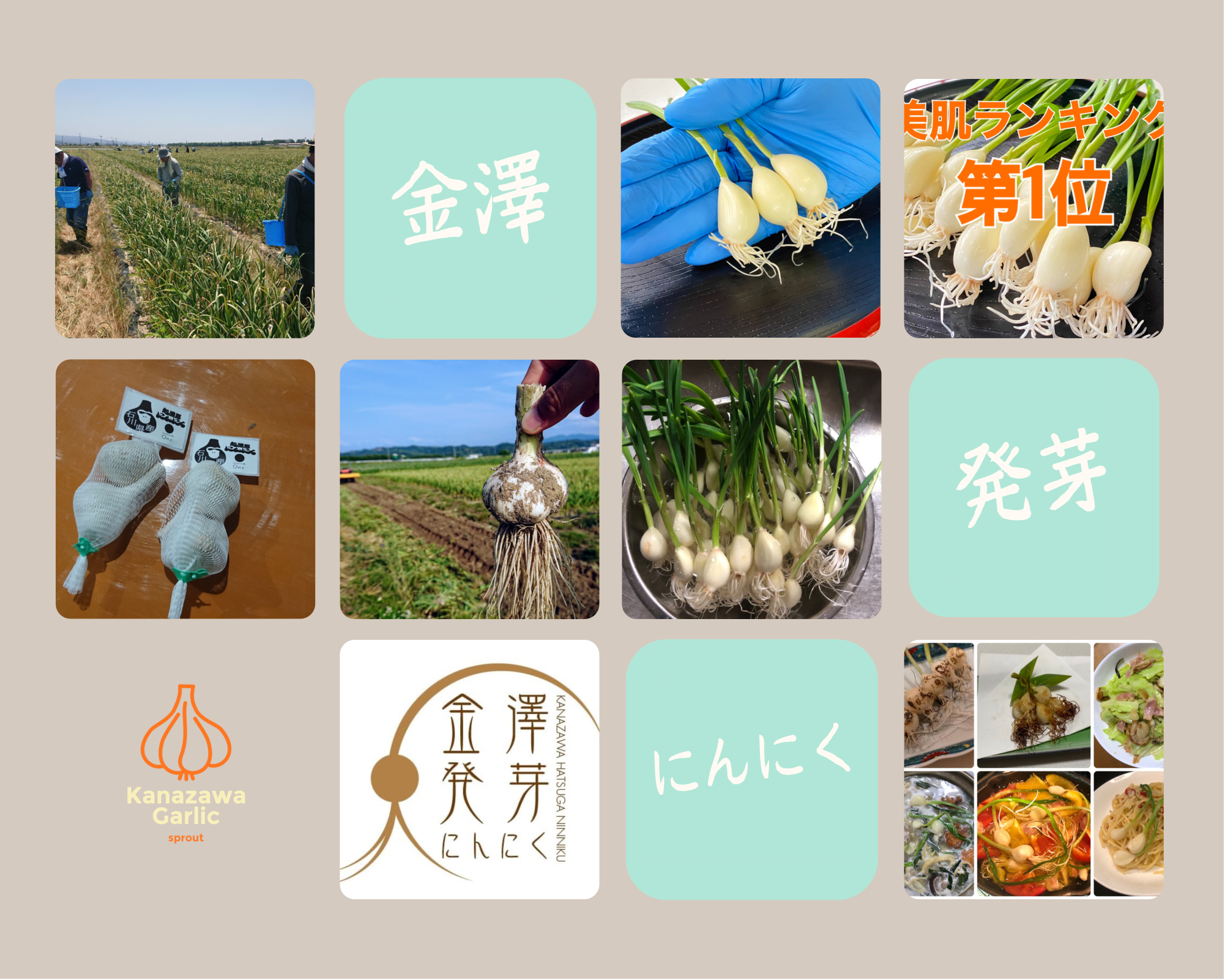 投稿よろしくお願いします