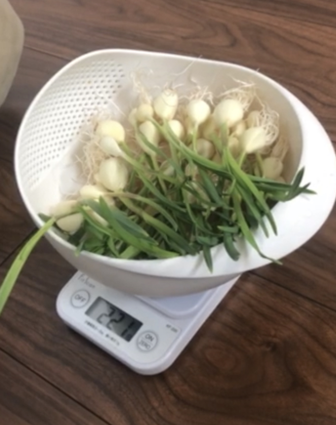 実際数えてみました！