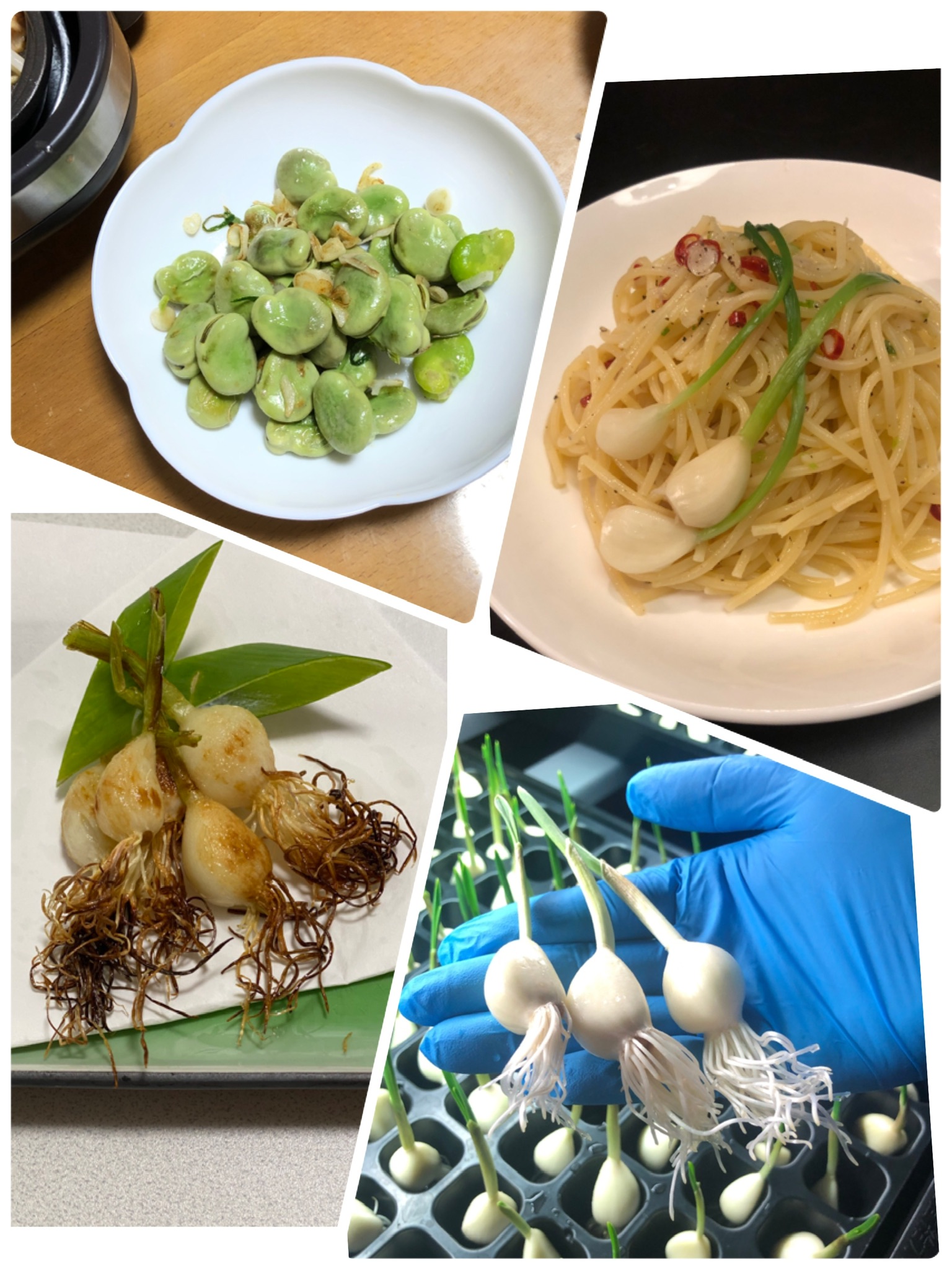 そろそろ終わり